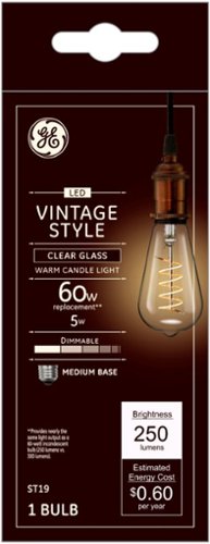 GE - Vintage 250-Lumen, 5W Dimmable ST19 LED Light Bulb, 60W Equivalent - Clear
