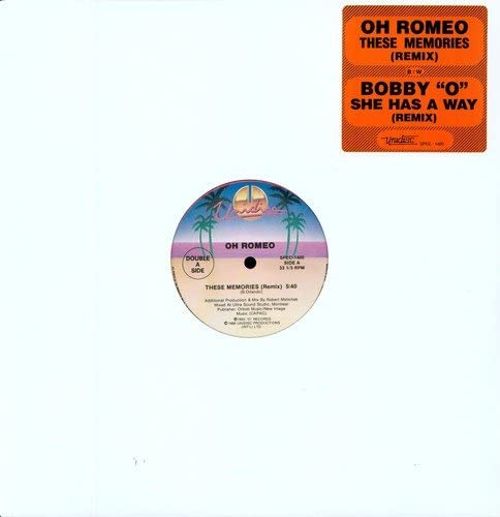 These Memories (Remix) [12 inch Vinyl Single]